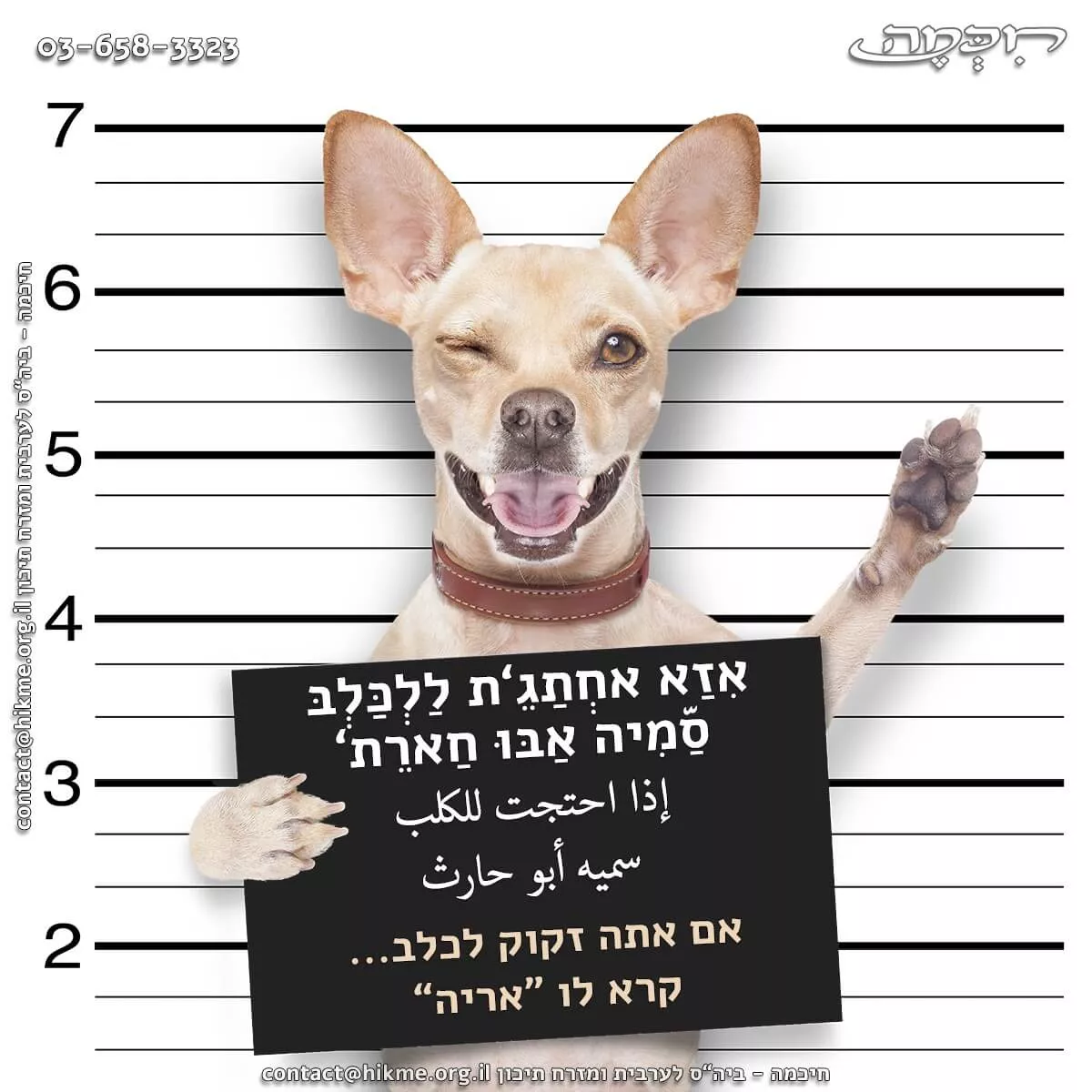 משלים, פתגמים ומטבעות לשון בערבית מדוברת וספרותית