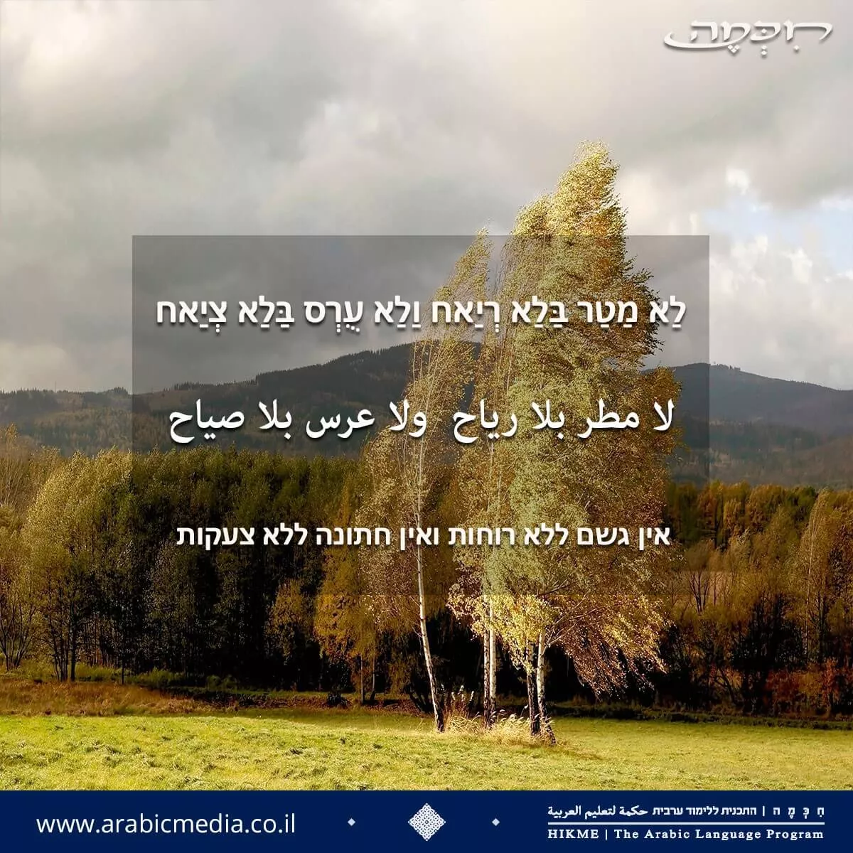 משלים, פתגמים ומטבעות לשון בערבית מדוברת וספרותית