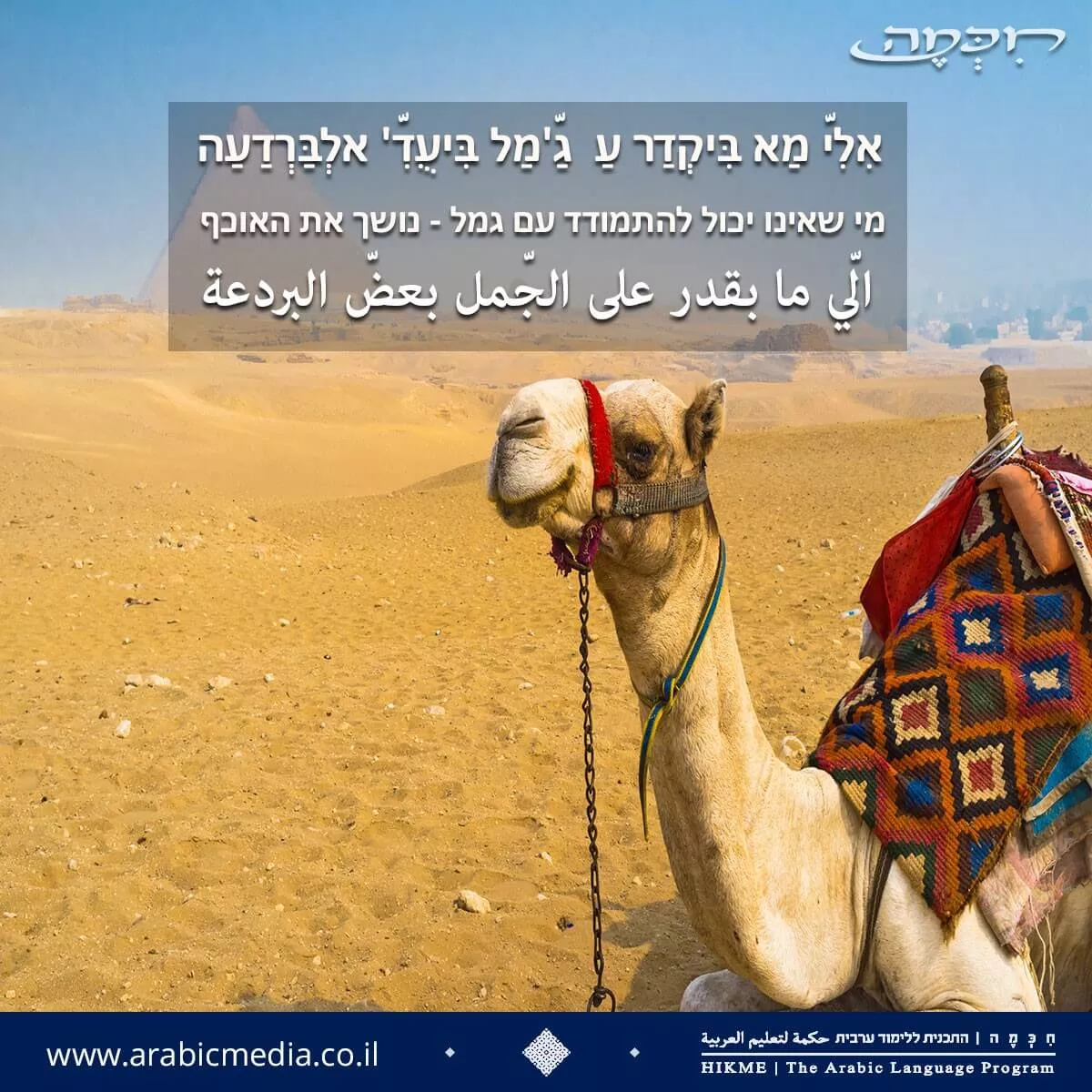משלים, פצגמים ומטבעות לשון בערבית מדוברת וספרותית