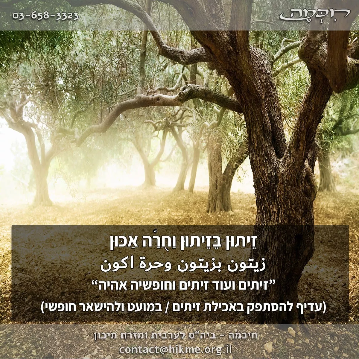 פתגמים בערבית על ההסתפקות במועט