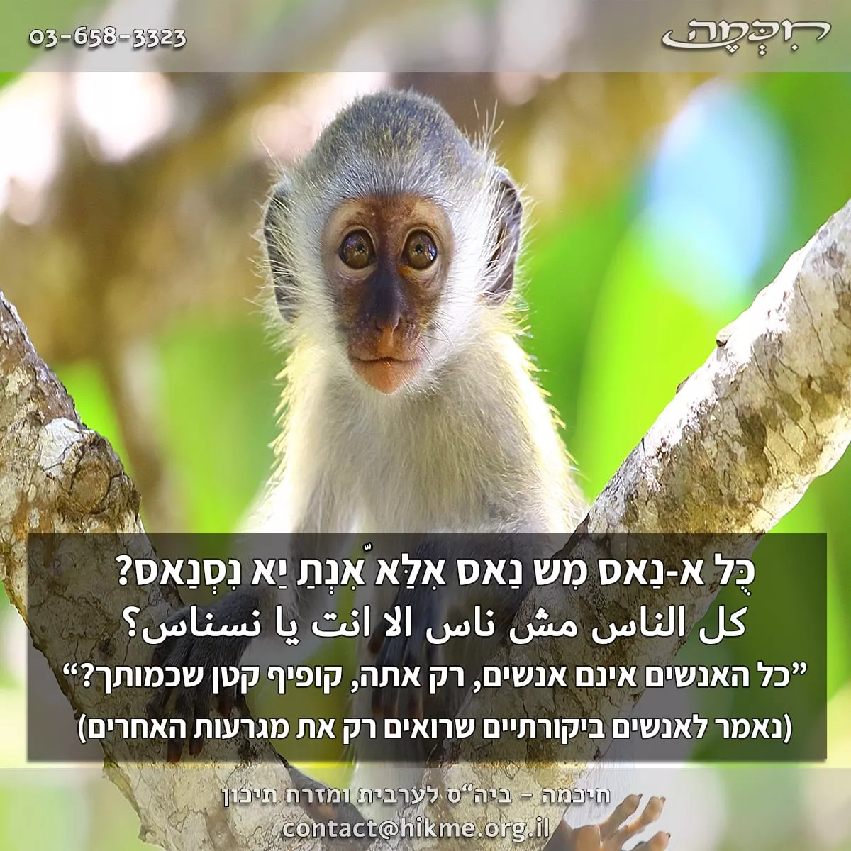 פתגמים בשפה הערבית על הביקורתיות