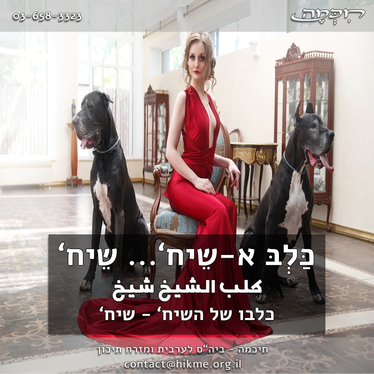כלבו-של-השיח פתגמים בערבית