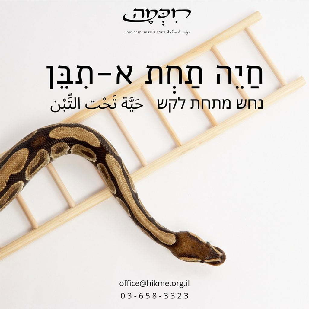 פתגמים בערבית חיכמה ביטויים בערבית מדוברת